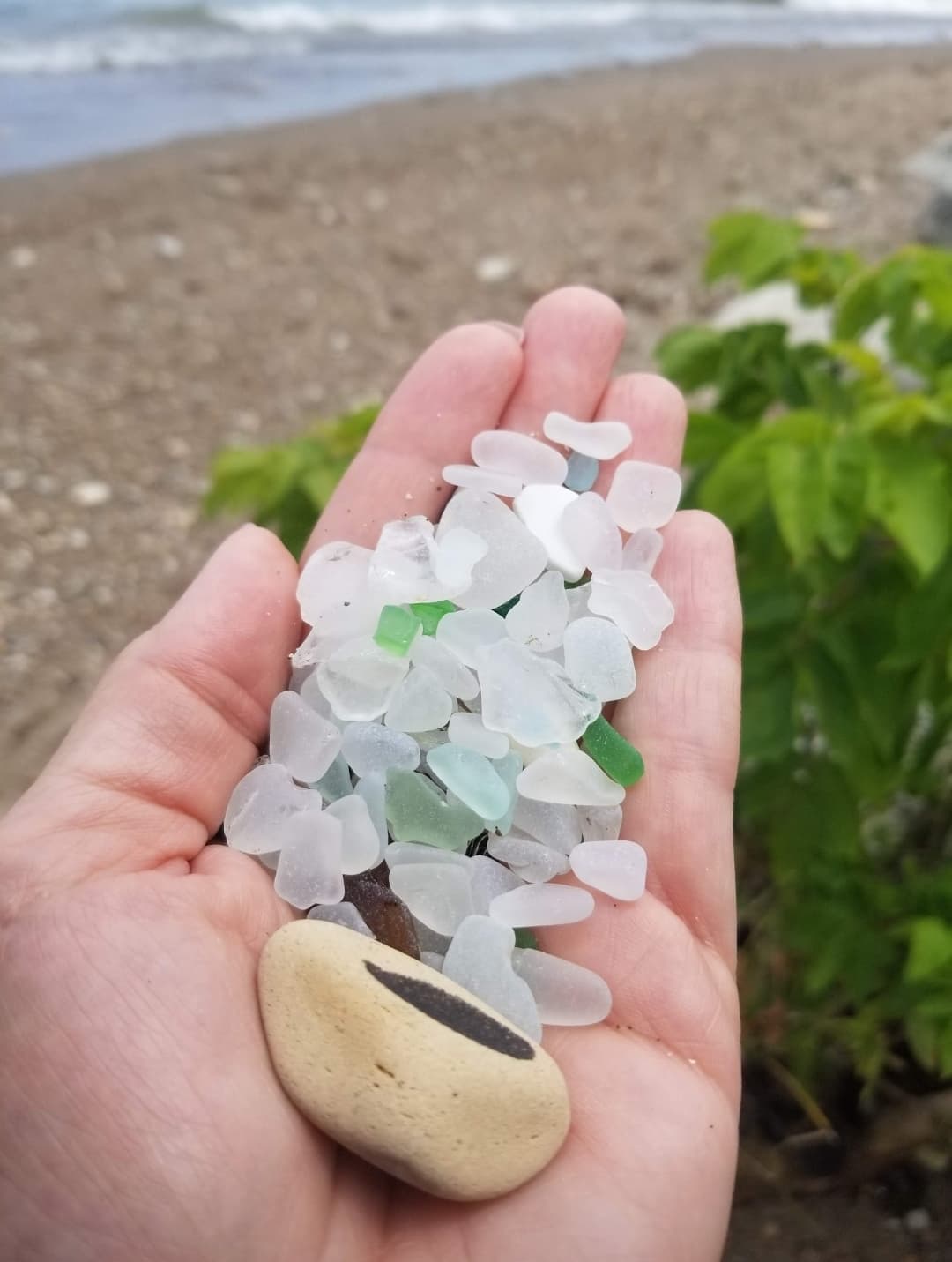 Lake Michigan Beach Glass