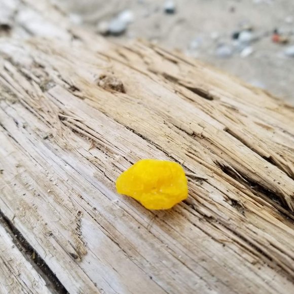 RARE YELLOW, Lake Michigan